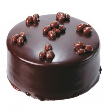 6-9 Kişilik Çikolatalı Butik Lezzet Serisi Tatlı Pasta pasta